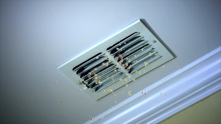 Best Duct Cleaning for Homes  in Makaha, HI