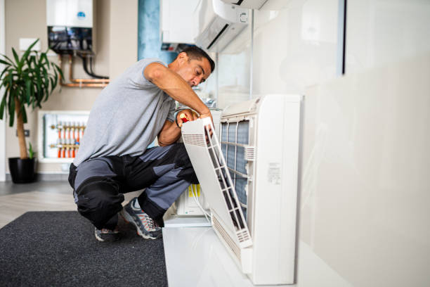 Air Duct Mold Removal in Makaha, HI
